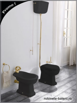 wc negru retro cu aur